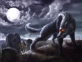 /album/fenykepgaleria/black-dog-by-warnick-jpg/