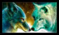 /album/fenykepgaleria/farkaslove-jpg/